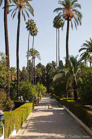 Seville - Alcazar