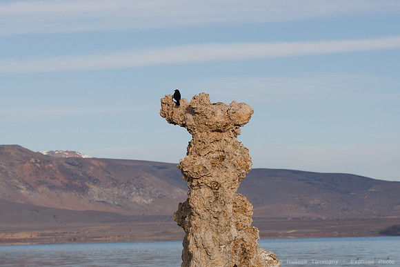 Mono Lake Sunrise