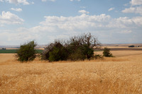Hwy 97 South, Washington