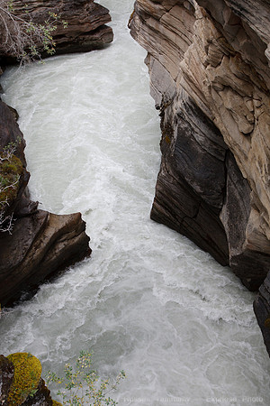 Jasper NP, AB