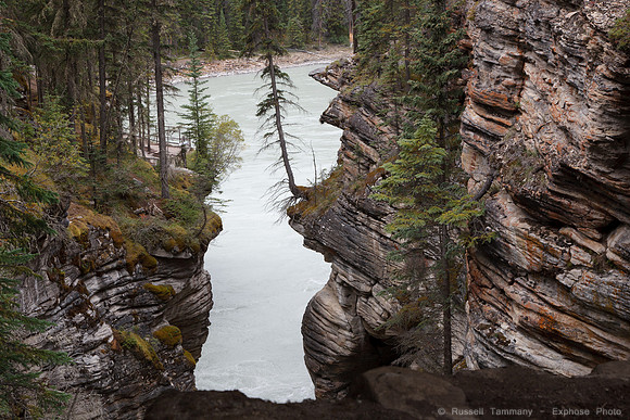 Jasper NP, AB