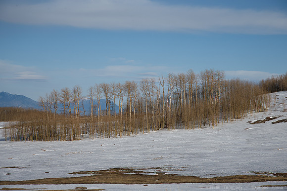 UT-12 Boulder Mountain
