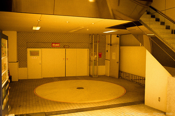 1DX_7282
