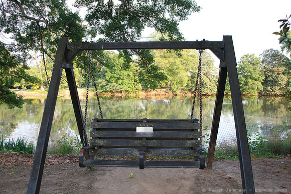 Piedmont Park Area