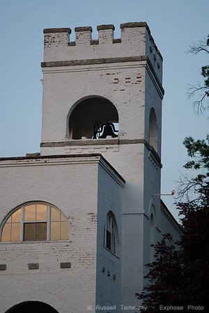 Oakland Cemetary Area