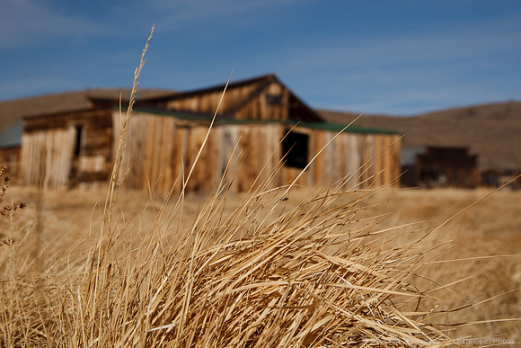 Bodie State Park (Ghost Town)