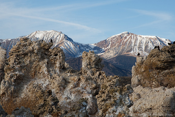 Mono Lake Sunrise
