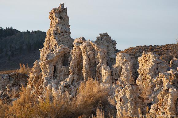 Mono Lake Sunrise