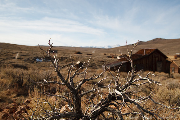 Bodie State Park (Ghost Town)