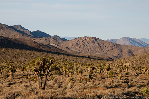 Death Valley NP Sunset