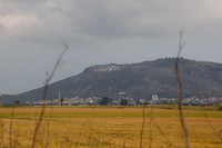 Parque Natural de la Albufera de Valencia