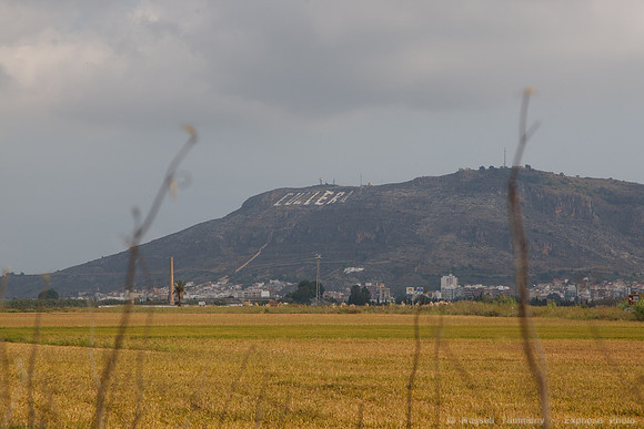 Parque Natural de la Albufera de Valencia