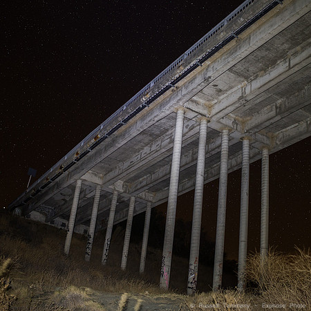 1DX_1004