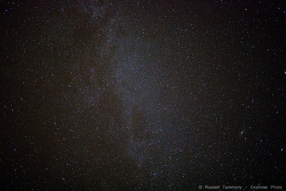 1DX_1029