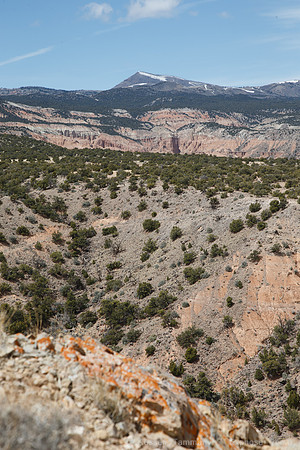 Cathedral Valley Loop