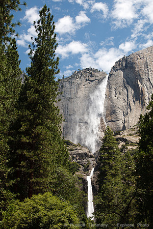 Yosemite NP