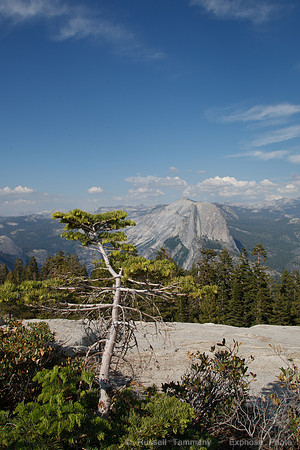 Sentinel Dome - Yosemite NP
