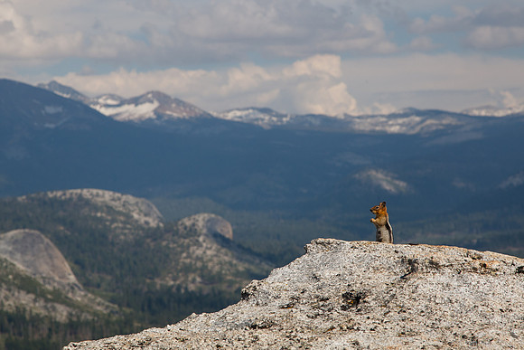 Sentinel Dome - Yosemite NP