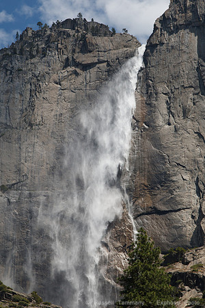 Yosemite NP