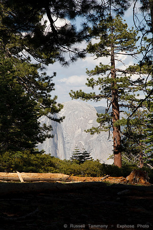 Sentinel Dome - Yosemite NP