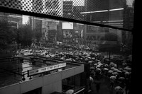 1DX_7141