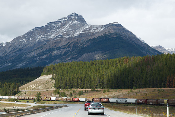 TC-1  Yoho NP