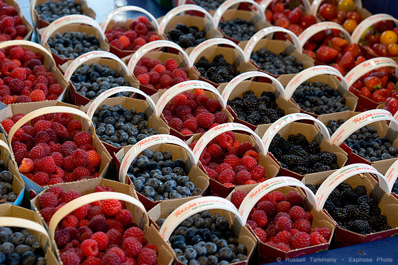 Montréal - Marche Jean-Talon