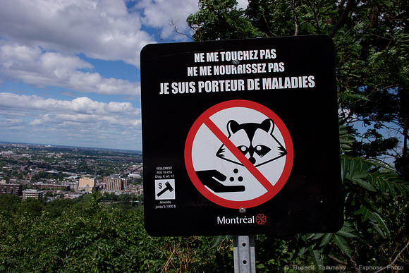 Montréal Mont Royal
