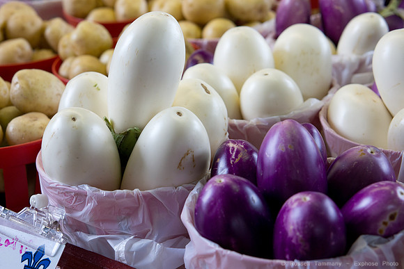 Montréal - Marche Jean-Talon