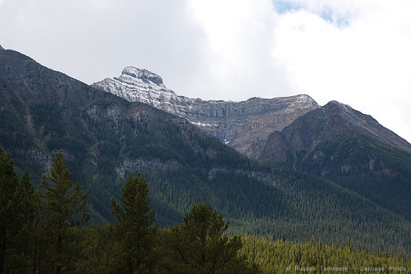 TC-1  Yoho NP