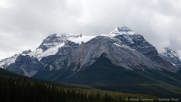 TC-1  Yoho NP