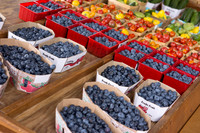 Montréal - Marche Jean-Talon