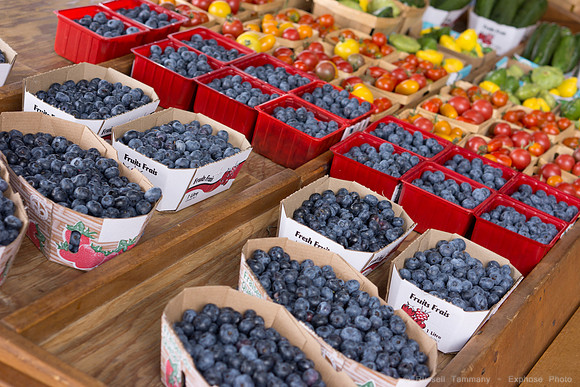 Montréal - Marche Jean-Talon