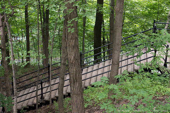 Montréal Mont Royal