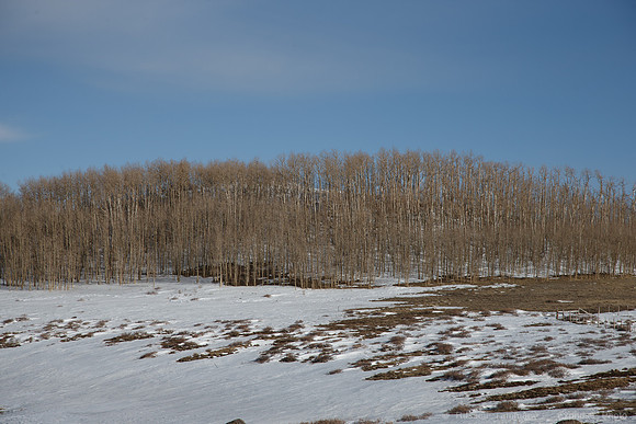 UT-12 Boulder Mountain