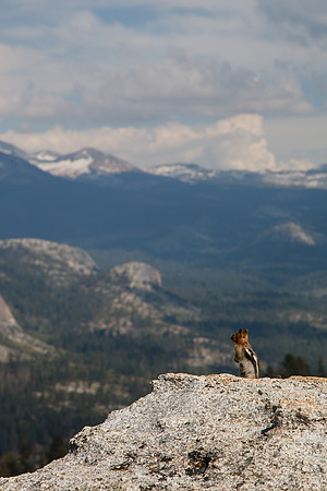 Sentinel Dome - Yosemite NP