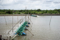 DSC03177