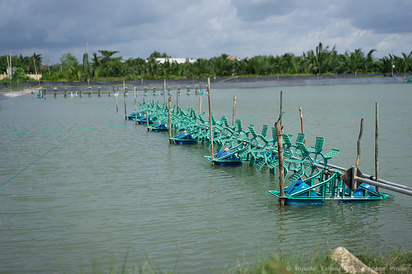 DSC03158