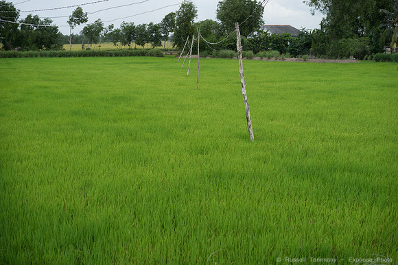 DSC03672