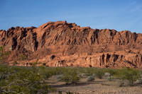 DSC01750