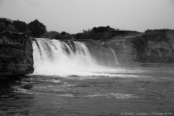1DX_4623