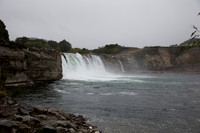 1DX_4617