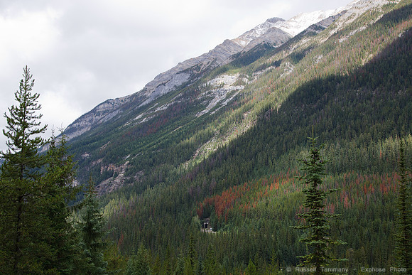 Spiral Tunnels, Yoho NP