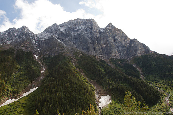TC-1  Glacier NP