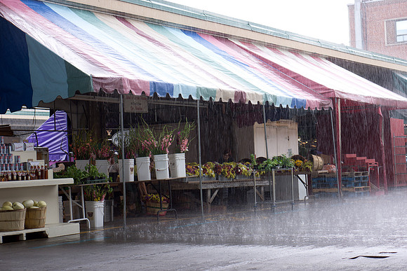 Montréal - Marche Jean-Talon