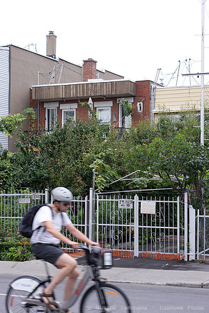 Montréal - Marche Jean-Talon