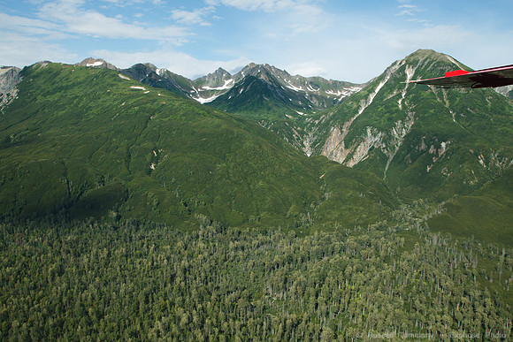 Rust's Flying Service from Lake Clark NP