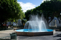 DSC05710