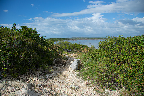DSC05974