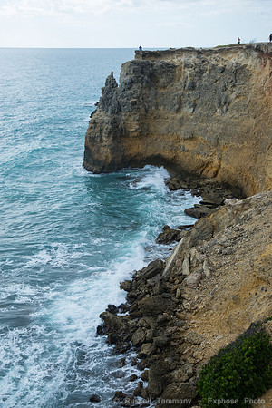 DSC05817